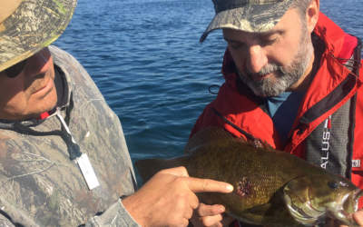 CFN Live and The Blue fish News for Oct 16, 2023