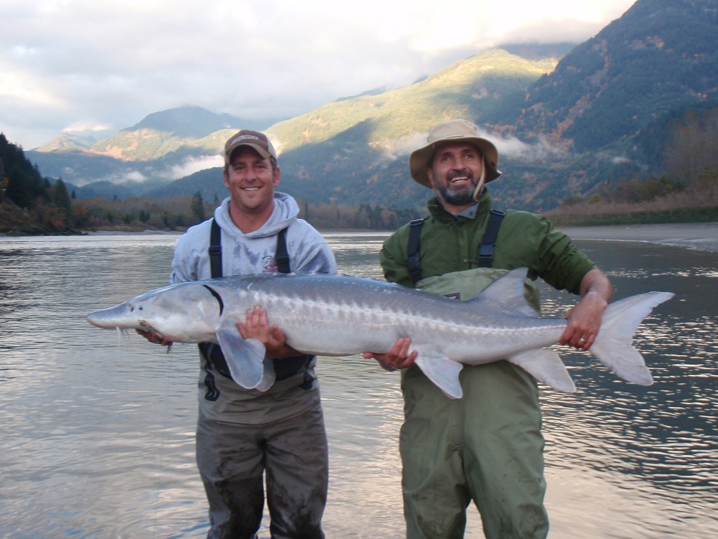 Lawrence and his guide holding a 6-foot White Sturgeon about to be released into the Fraser River