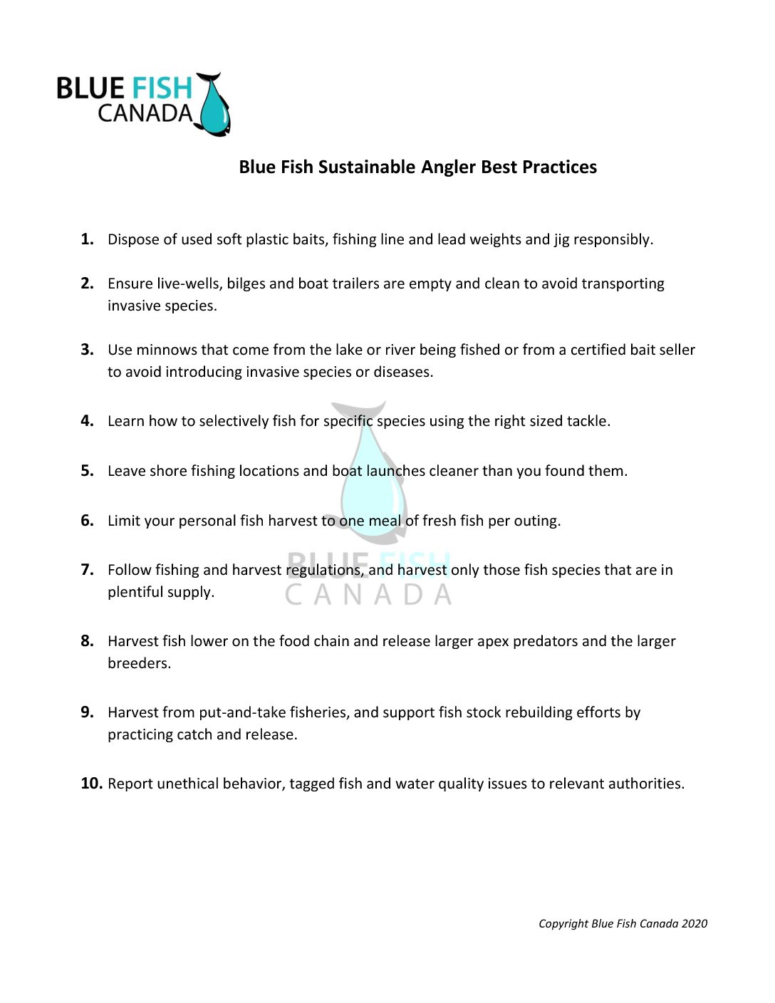 Canada’s Cold Water Sharks and Remembering Rob Stewart