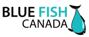 Blue Fish Canada logo with stylized fish